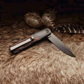 Frontier Barlow Folder